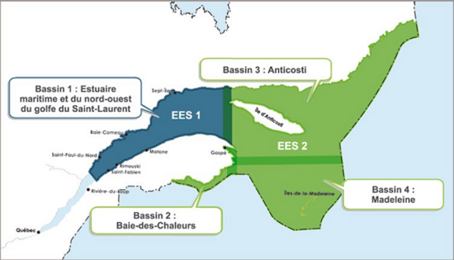 EES1 – Bassin de l’estuaire maritime et du nord-ouest du golfe Saint-Laurent